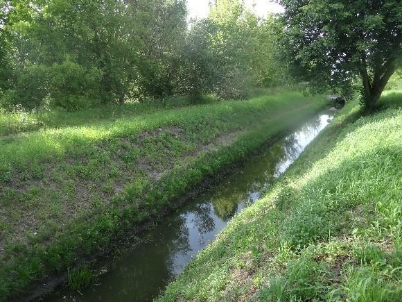 Wąski, płytki kanał wśród zielonej roślinności, z ciemną wodą odbijającą drzewa. Światło przebija przez liście.